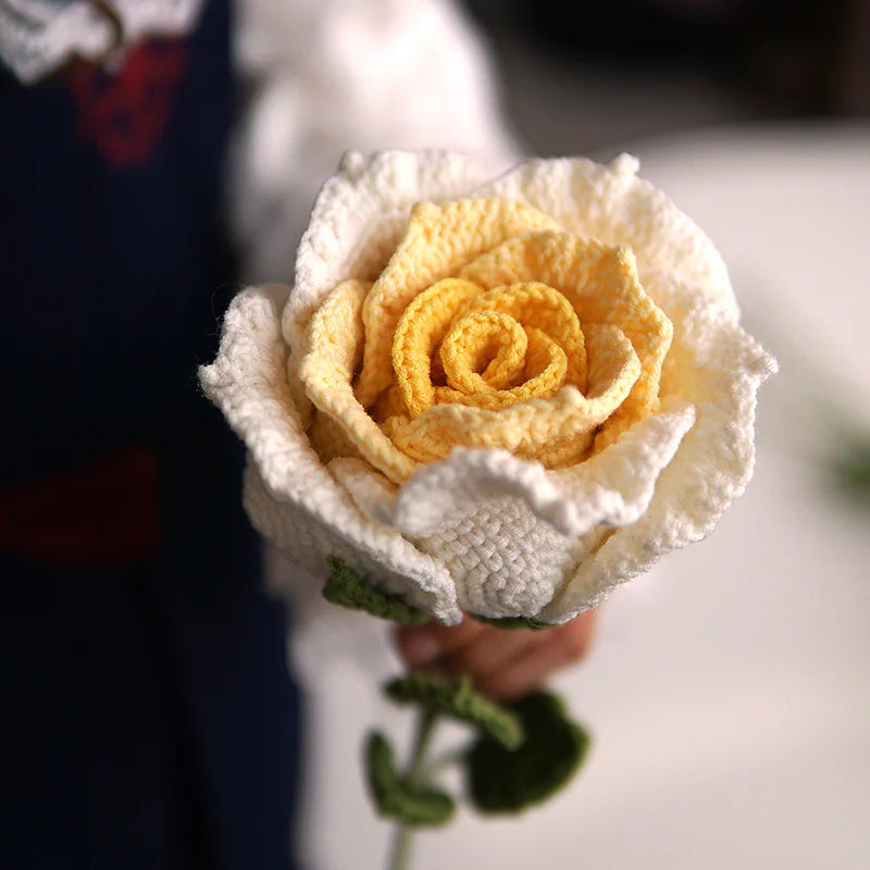 BloomKnit's Premium Rose